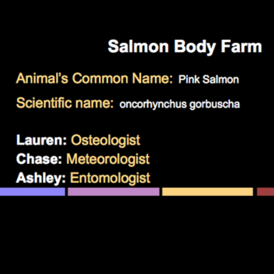Timeline: Salmon (oncorhynchus gorbuscha) Body Farm