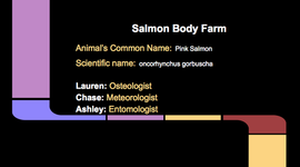 Timeline: Salmon (oncorhynchus gorbuscha) Body Farm