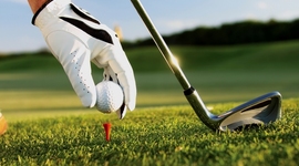 Timeline: TIGER WOODS