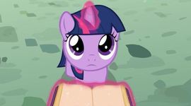 Timeline: ponyyyyyyyy