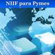 Niif para pymes