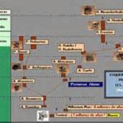 Timeline: evolución en la escritura