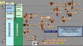 Timeline: evolución en la escritura