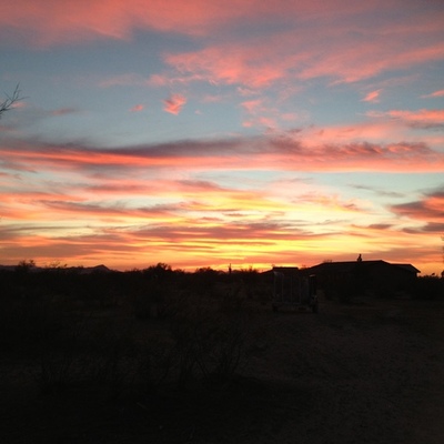 Timeline: Sarah's Timeline