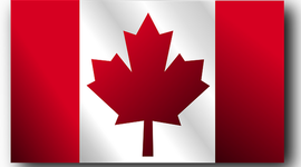 Timeline: mr.knodel project