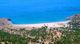 Timeline: ΔΙΑΚΟΠΕΣ