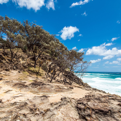 Timeline: Stradbroke Island Timeline