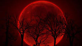 Timeline: Charles Dickens' Life