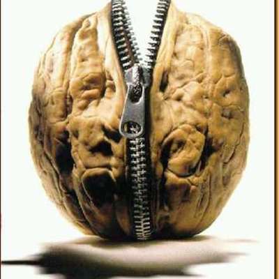 Timeline: Mr. Alger in a Nutshell