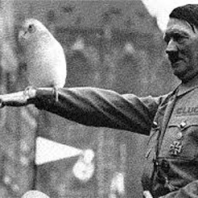 Timeline: Second World War