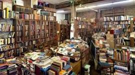 Timeline: Introduce Yourself Timeline