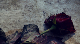 Timeline: A rose for Emily