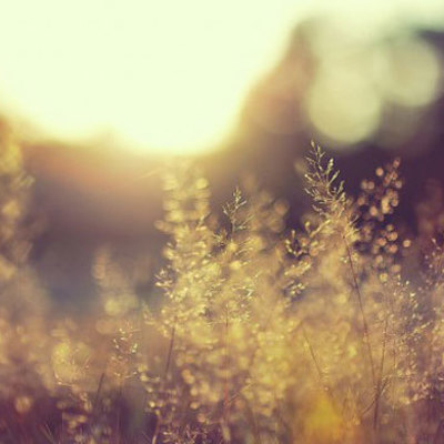 Timeline: GIMNASIA ARTISTICA