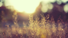 Timeline: GIMNASIA ARTISTICA