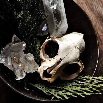 Timeline: Норфолкская партия