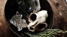 Timeline: Норфолкская партия