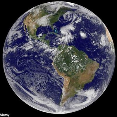 Timeline: The History of Life on Earth