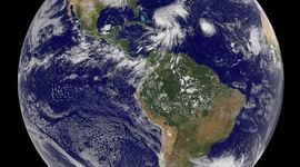 Timeline: The History of Life on Earth