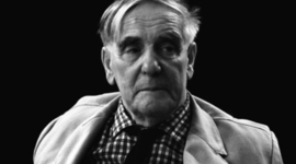 Timeline: Капиця Петро Леонідович