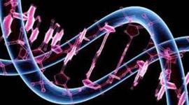 Timeline: Proyecto Genoma Humano