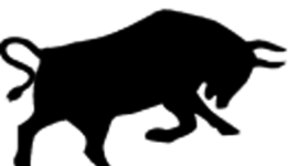 Timeline: Viva el toro