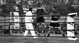 Timeline: Johann Wilhelm Trollmann