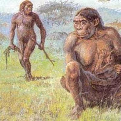 Timeline: Historia de la vida en la Tierra