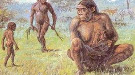 Timeline: Historia de la vida en la Tierra