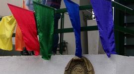 Timeline: Cronología de la revuelta