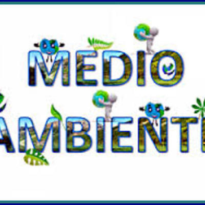 Timeline: sustentabilidad