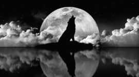 Timeline: Policies towards Conservation of Wildlife Throughout History