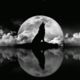 Wolves