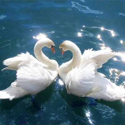 Timeline: Развитие любви.