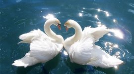 Timeline: Развитие любви.