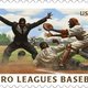 Negro league baseball stampjpg a58542248de63572 large