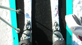 Timeline: Primera línia