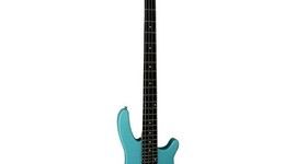 Timeline: History Bass