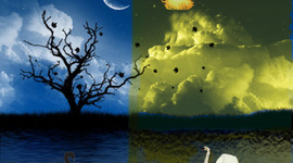 Timeline: A Life In Progress