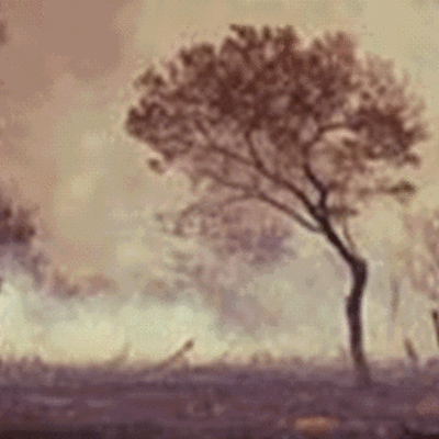 Timeline: Desastres naturales  en el mundo