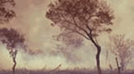 Timeline: Desastres naturales  en el mundo