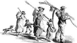 Timeline: La historia en la familia mexicana