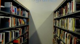 Timeline: Lois Pereiro