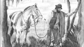 Timeline: Contexto del Martín Fierro