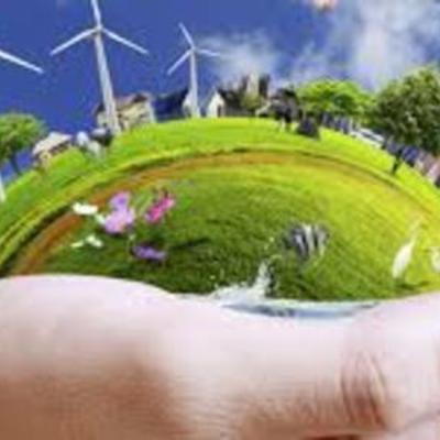 Timeline: Educación Ambiental