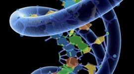 Timeline: DESARROLLO DE LA GENÉTICA