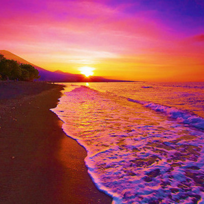 Timeline: Yvonne Summer