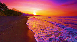 Timeline: Yvonne Summer