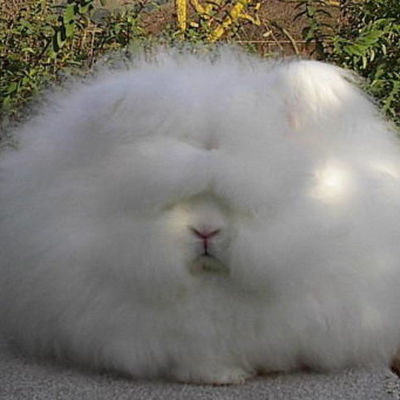 Timeline: My Summer Vacation