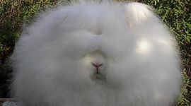 Timeline: My Summer Vacation