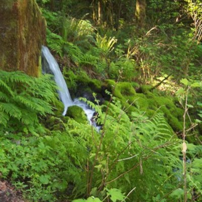 Timeline: Cascade Locks Port Commission Nestle timeline (Rev A)